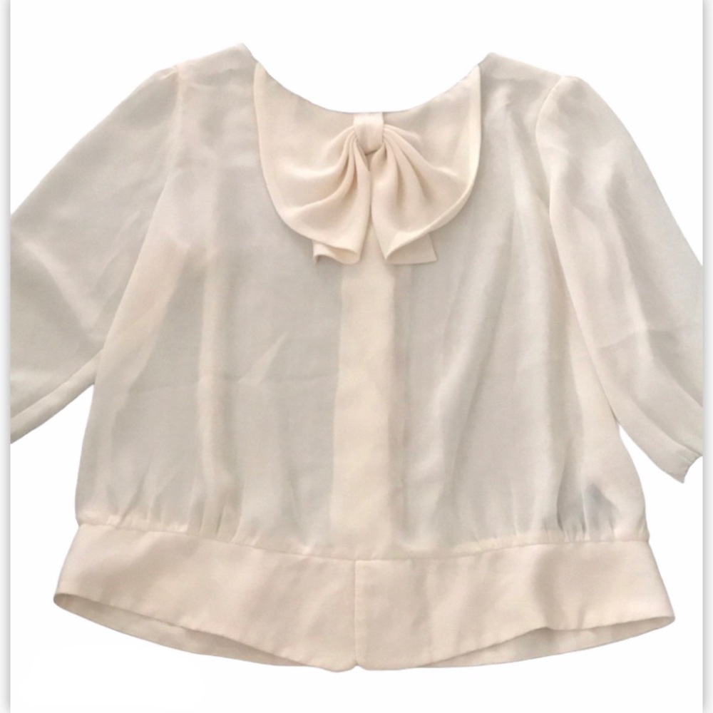 🖤🖤🖤Madison Paige Sheer Blouse